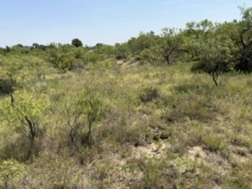 Picture 29