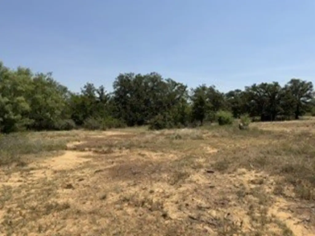Picture 28