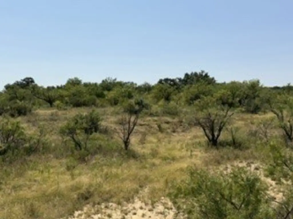 Picture 22