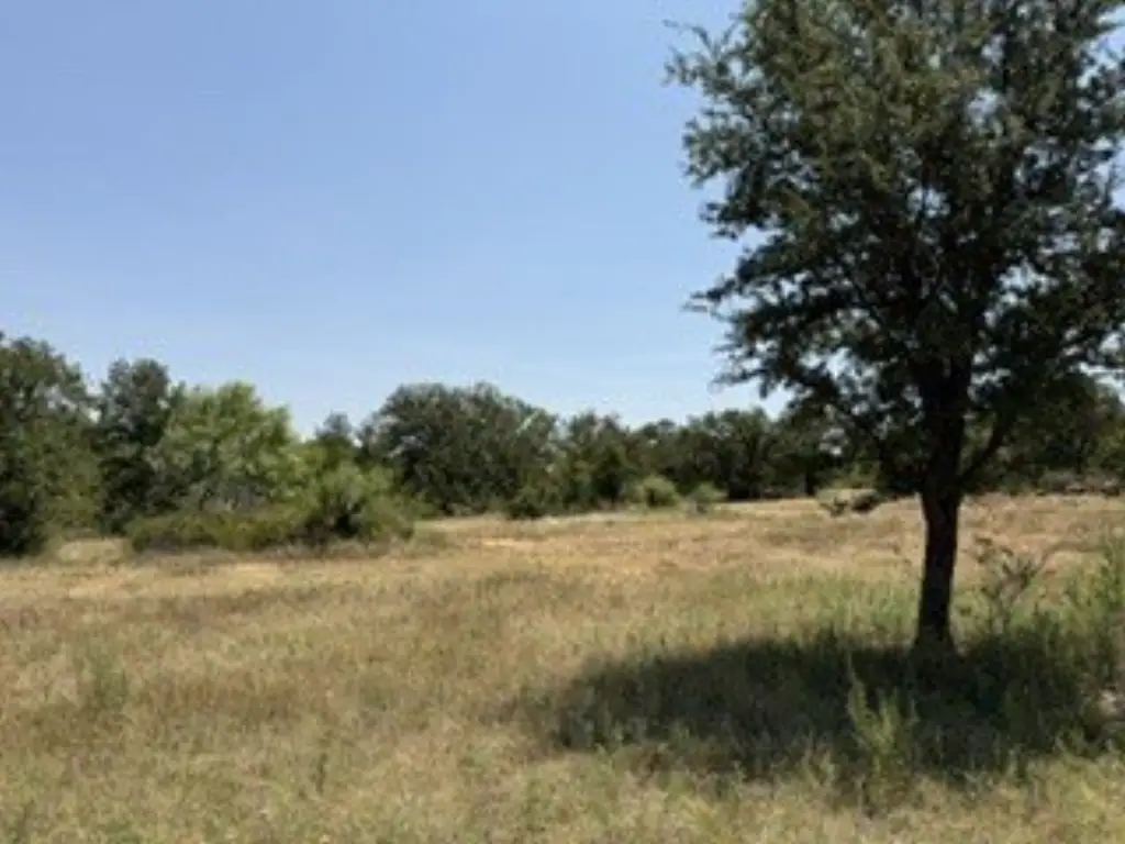 Picture 26