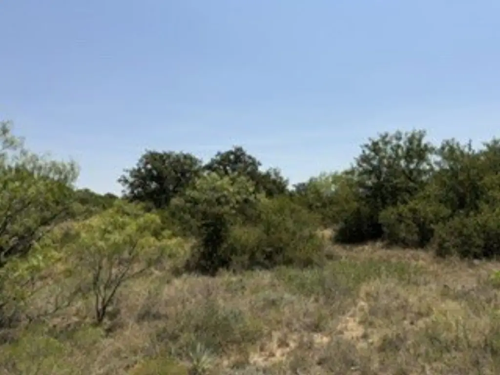 Picture 25