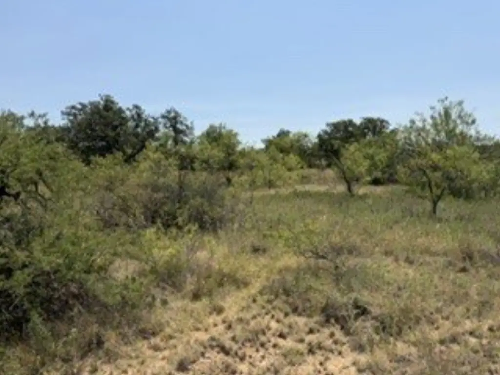 Picture 30