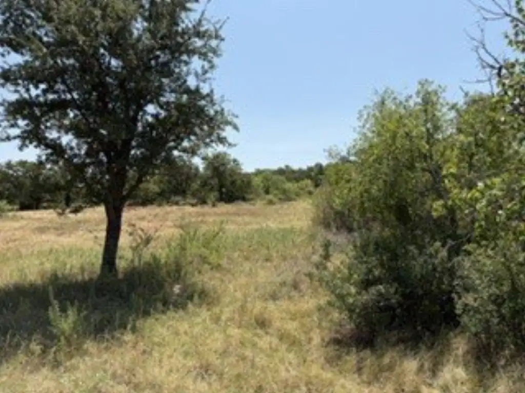 Picture 27