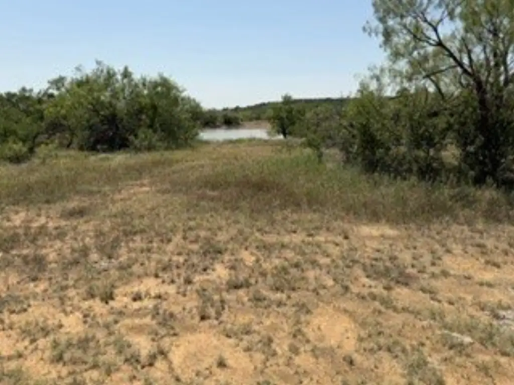 Picture 19