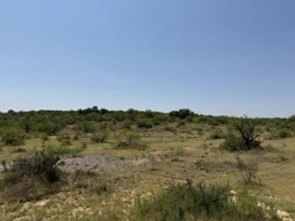 Picture 21