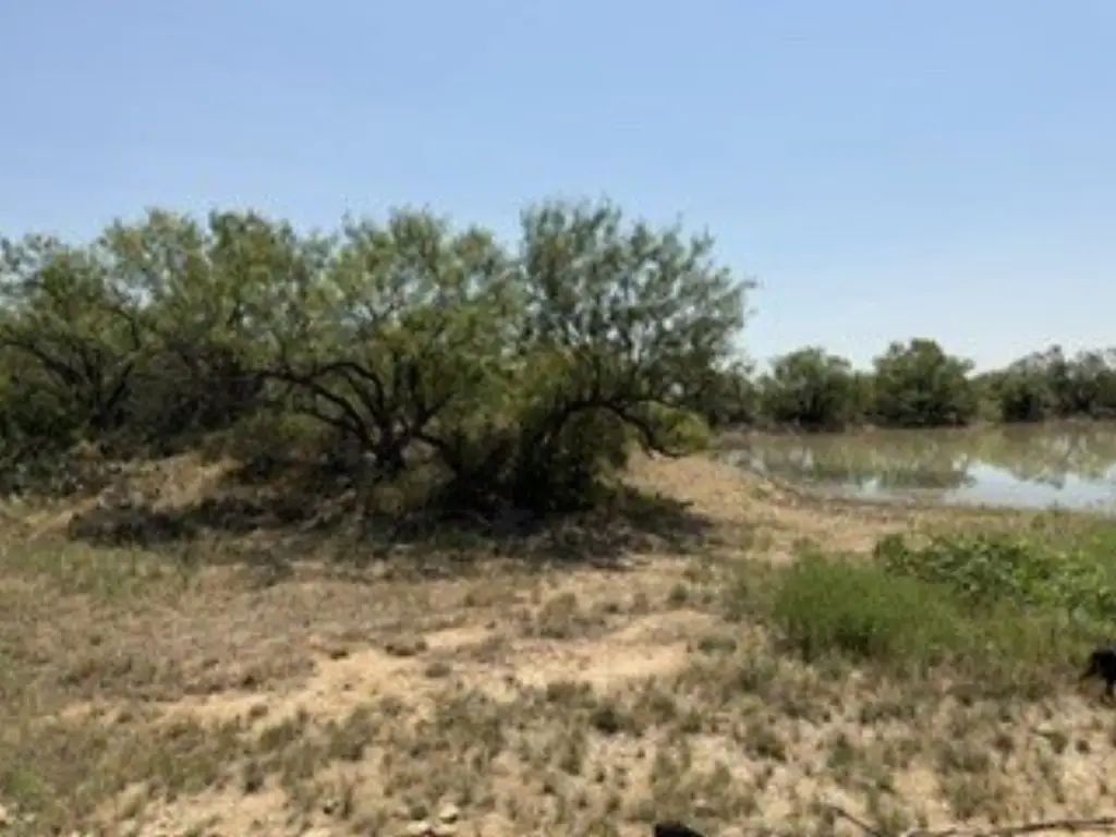 Picture 20