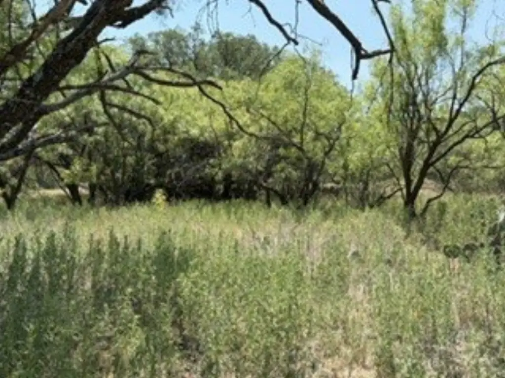 Picture 23