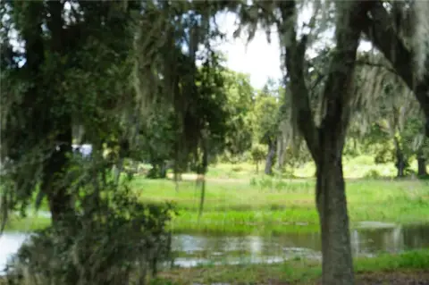 Plant City Land Opportunity
