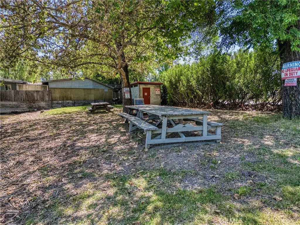 Picture 21
