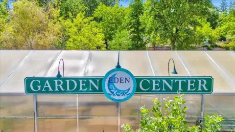 Established Nursery Business Opportunity