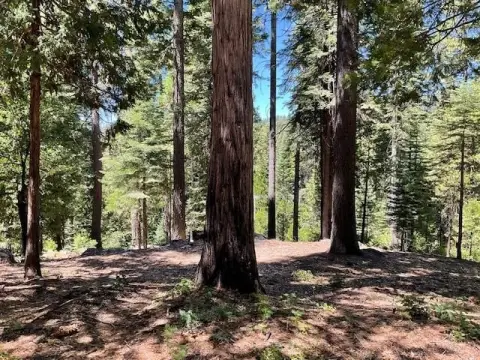 Residential Lot in Dorrington, CA