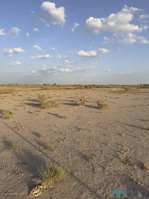 Unimproved Land in Dexter, NM