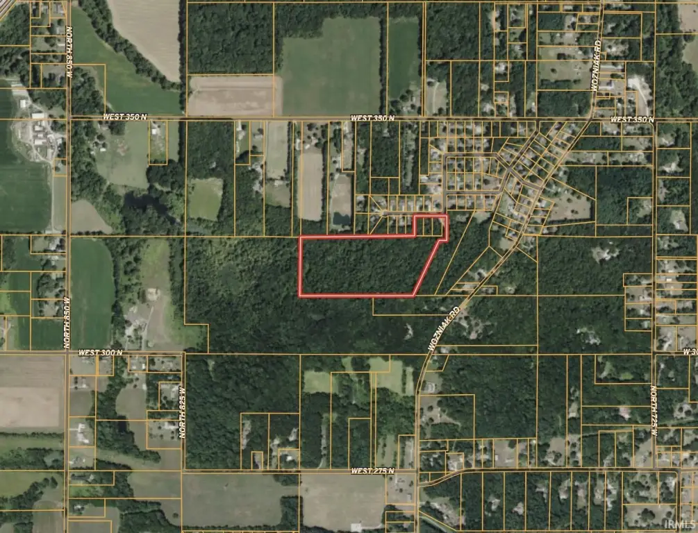 Picture 5