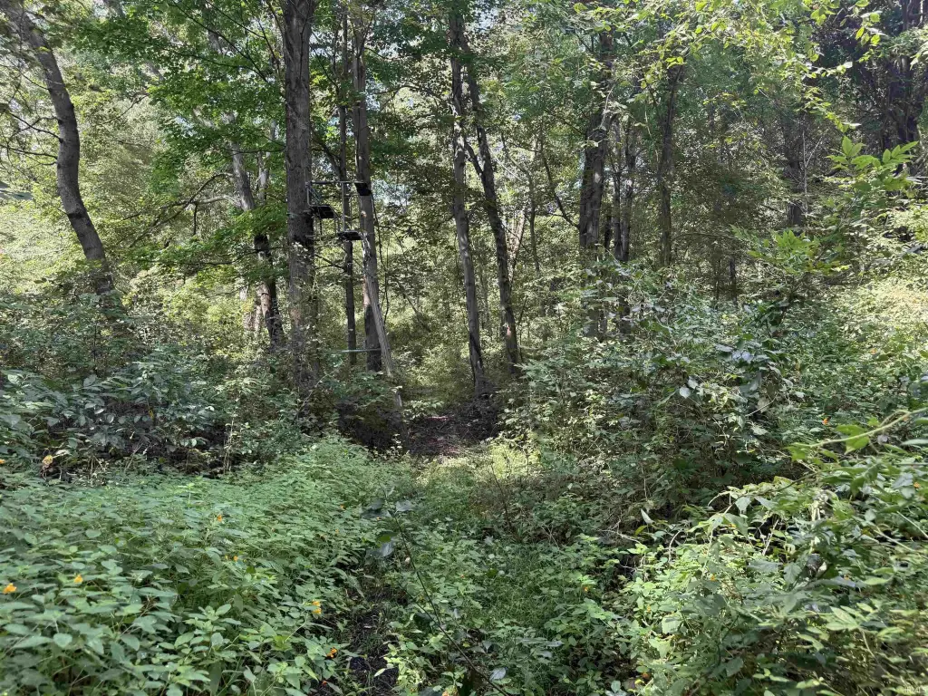 Picture 21