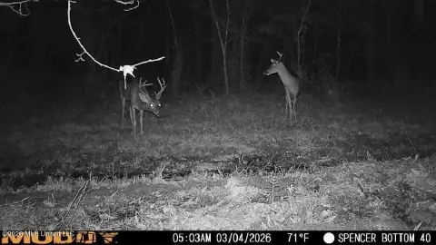 Bogue Chitto Riverfront Hunting Land