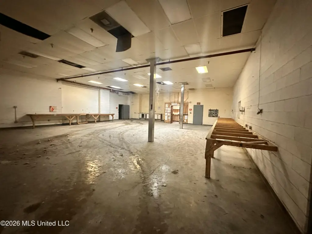 Picture 24