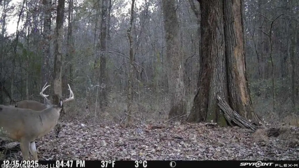 Picture 3