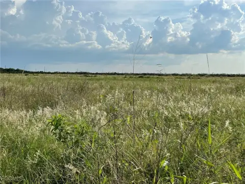 33.1 Acres Agricultural Land Labelle