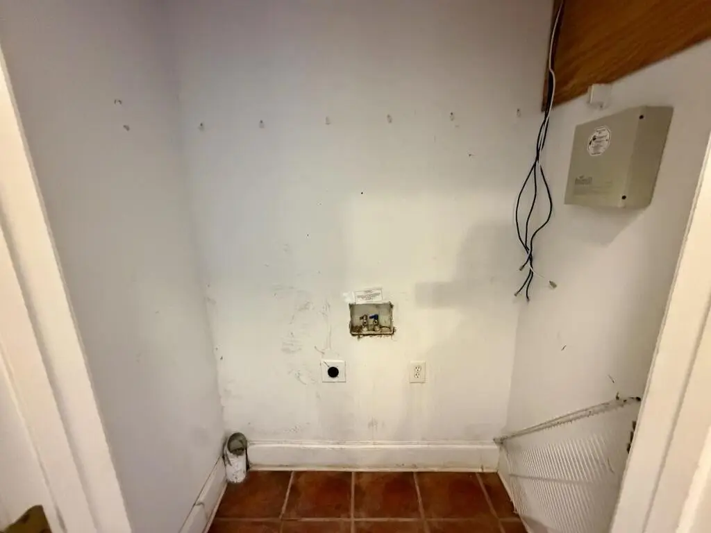 Picture 42