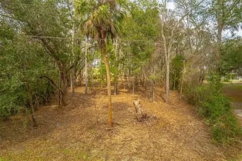 Marsh Front Residential Lot