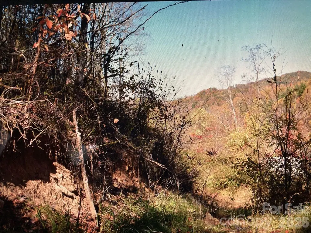 Picture 18