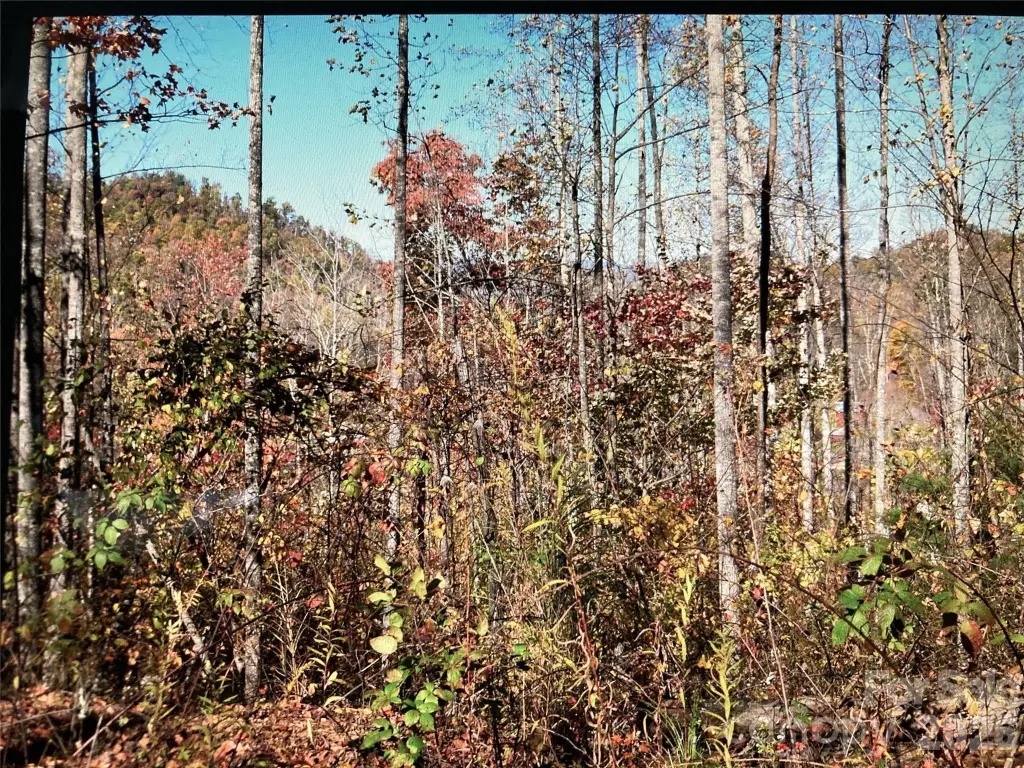 Picture 9