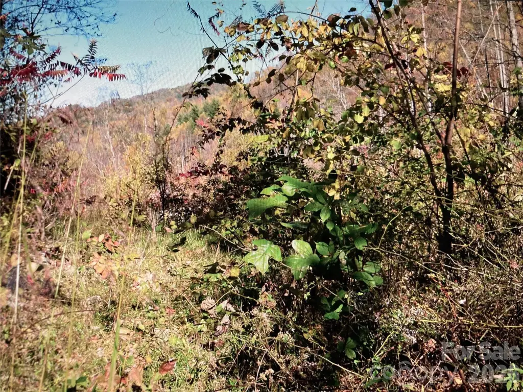 Picture 14