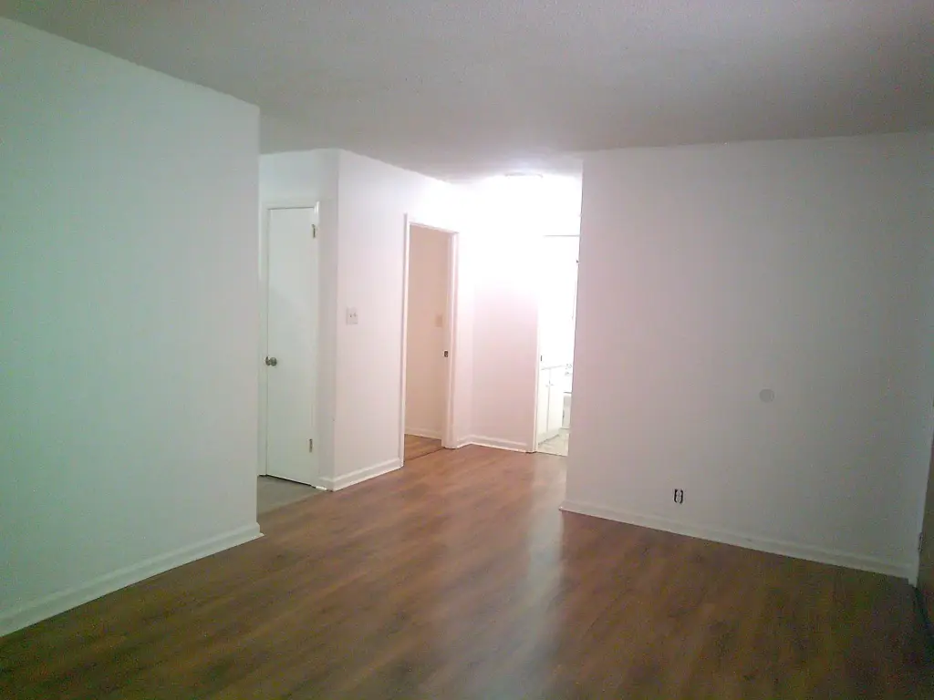 Picture 20