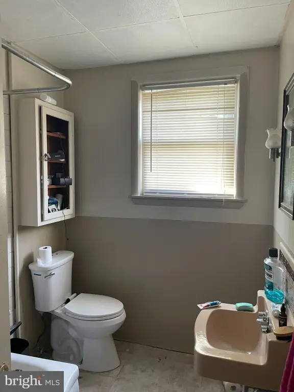 Picture 19