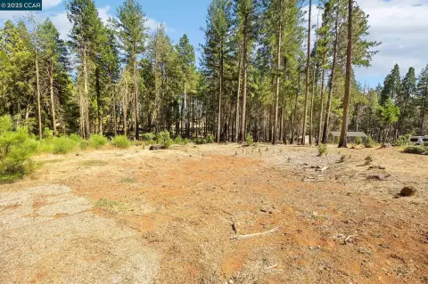Residential Land in Paradise Pines