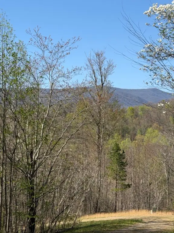 Picture 9