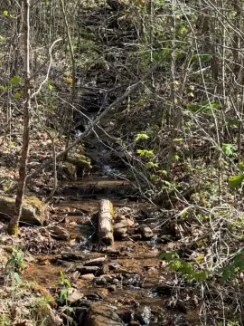 Wooded Buildable Lot in Hayesville