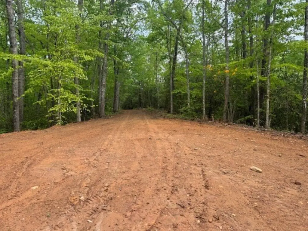 Picture 20