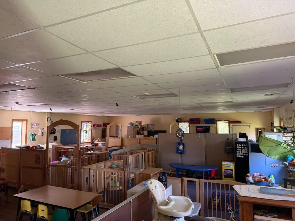 Picture 5