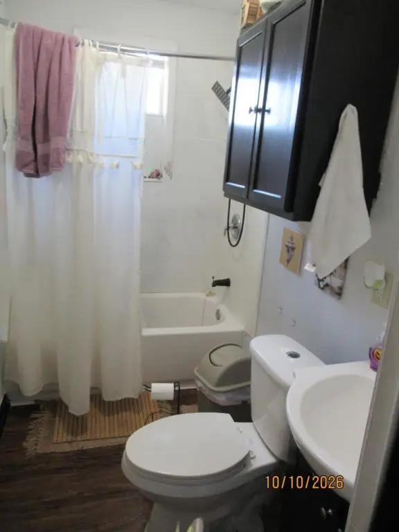 Picture 15
