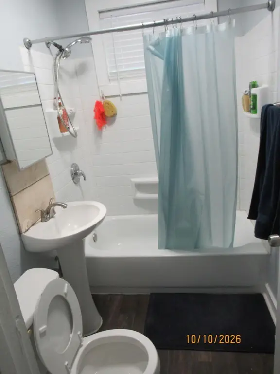 Picture 7
