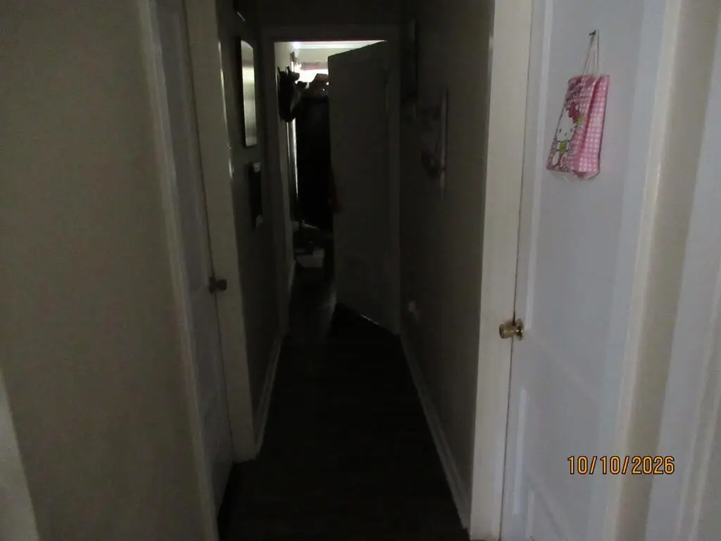 Picture 11