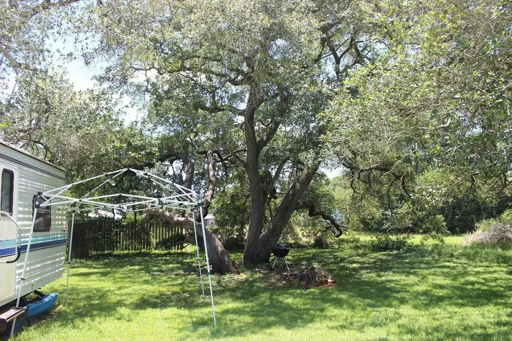 Picture 4