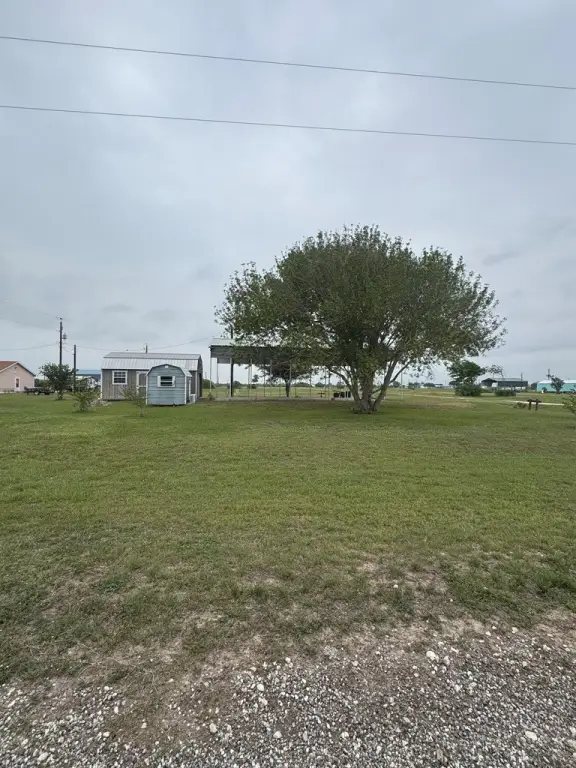 Picture 15