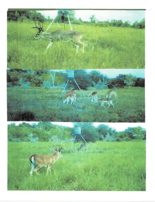 Picture 11