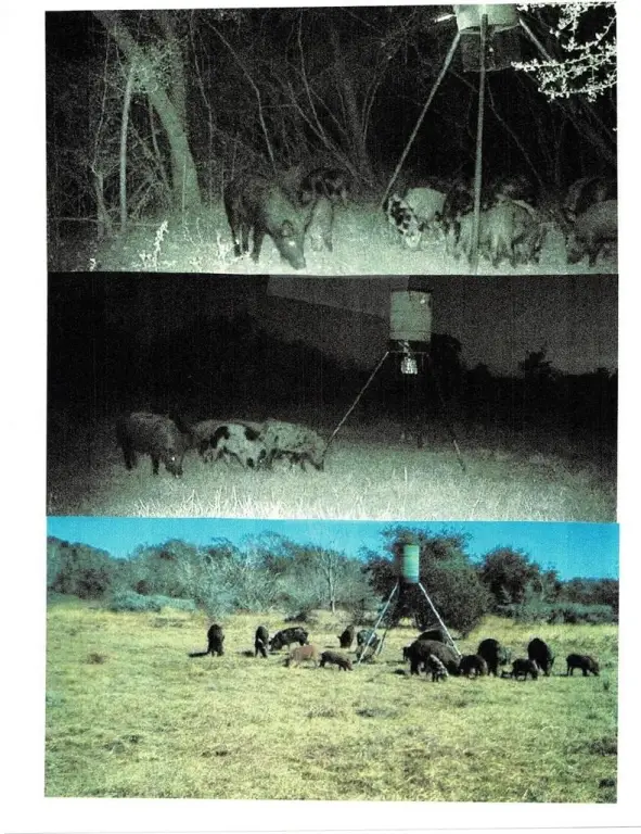 Picture 12