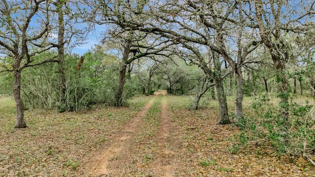 Picture 34