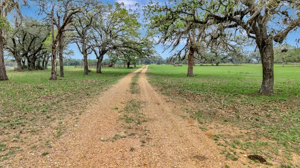 Picture 24