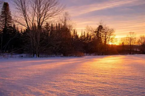 Land with Mountain Views