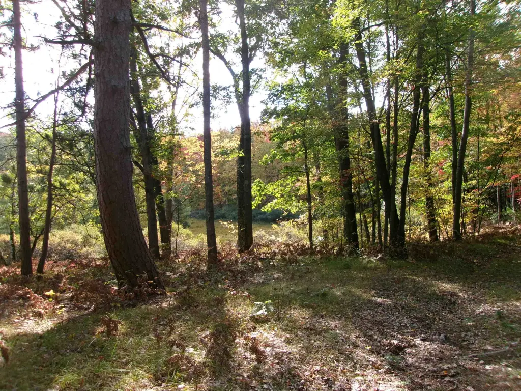 Picture 15