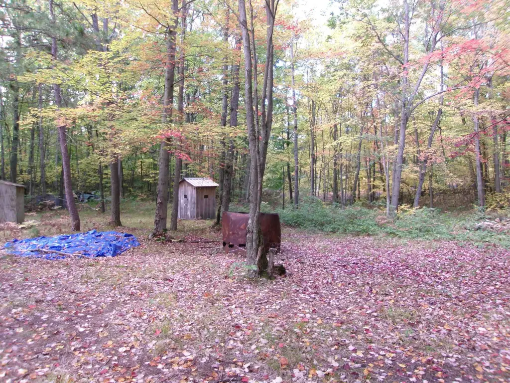 Picture 23