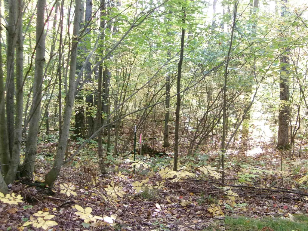 Picture 4