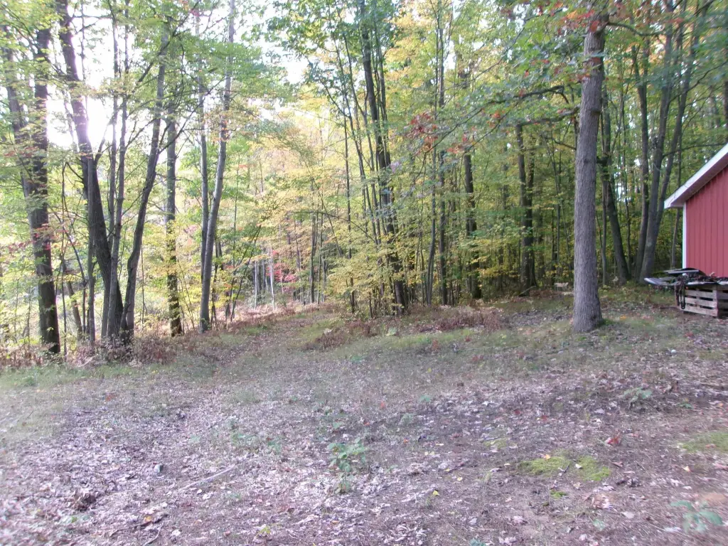 Picture 16