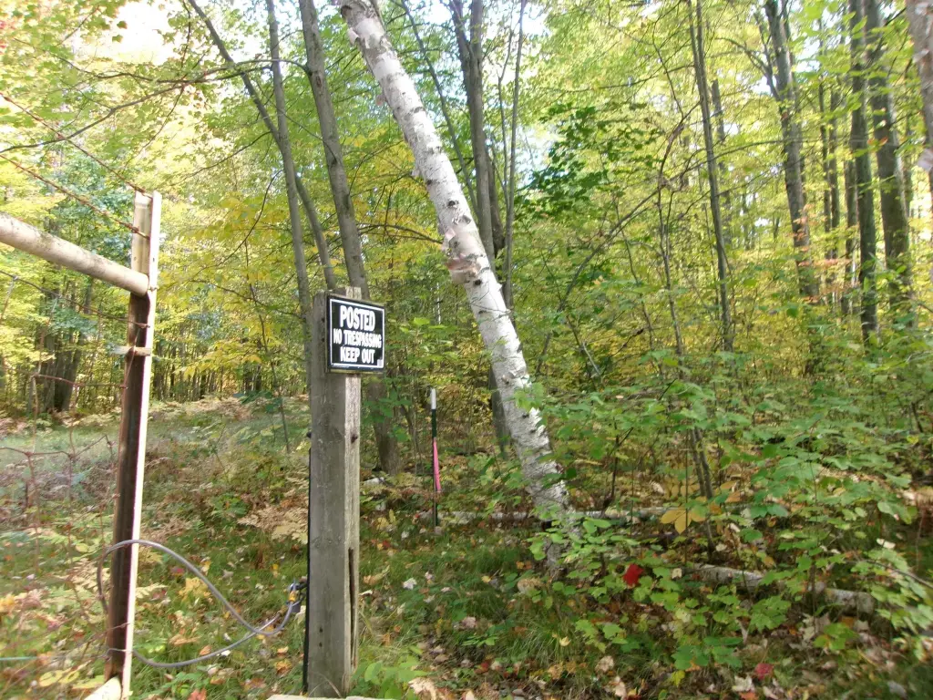 Picture 3