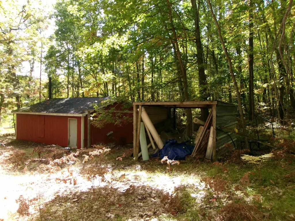 Picture 31